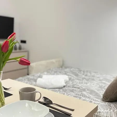 Apartment 39 Plock